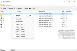 Official Download Mirror for RecycleBinEx