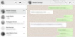 Official Download Mirror for Privacy Extension For WhatsApp Web For Chrome and Firefox
