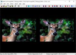 Official Download Mirror for StereoPhoto Maker