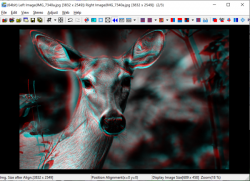 Official Download Mirror for StereoPhoto Maker