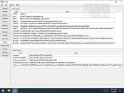 Official Download Mirror for Exe-Spy