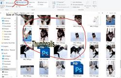 Official Download Mirror for Delete Thumbnail Cache
