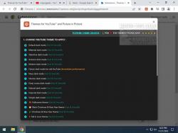 Official Download Mirror for Themes for YouTube and Picture in Picture