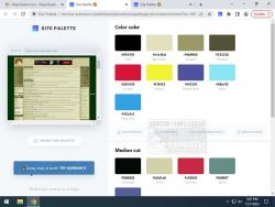 Official Download Mirror for Site Palette for Chrome 