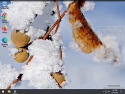 Official Download Mirror for Winter Garden Theme