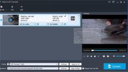 Official Download Mirror for Video to GIF Converter
