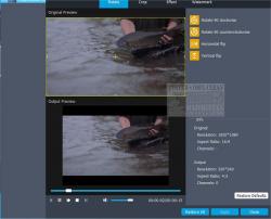 Official Download Mirror for Video to GIF Converter