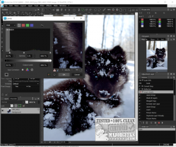Official Download Mirror for PhotoLine