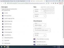 Official Download Mirror for Clear Browsing Data for Chrome, Firefox, Edge, and Opera 