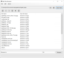 Official Download Mirror for Bulk Files Renamer