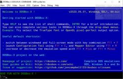 Official Download Mirror for DOSBox-X