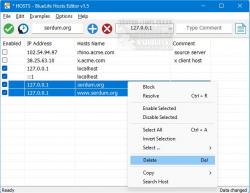 Official Download Mirror for Bluelife Hosts Editor