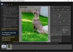 Official Download Mirror for Free Photo Noise Reduction