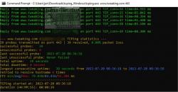 Official Download Mirror for TCPING 