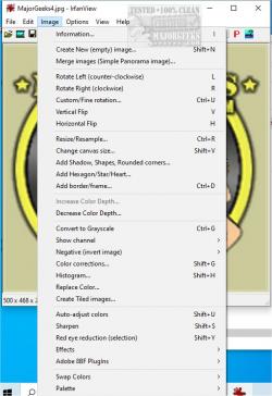 Official Download Mirror for IrfanView Portable