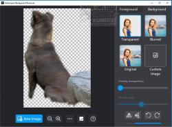 Official Download Mirror for Ashampoo Background Remover