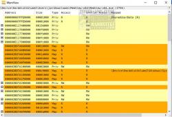 Official Download Mirror for MemView