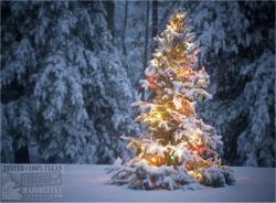 Official Download Mirror for Christmas Tree Theme
