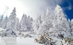 Official Download Mirror for Snow Theme