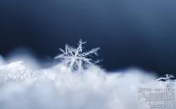 Official Download Mirror for Snowflake Theme