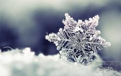 Official Download Mirror for Snowflake Theme