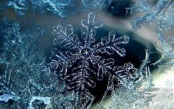 Official Download Mirror for Snowflake Theme