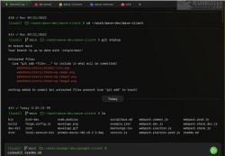 Official Download Mirror for Wave Terminal