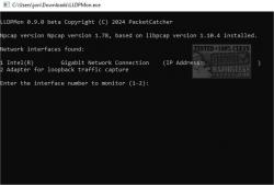 Official Download Mirror for LLDP-CDPMon