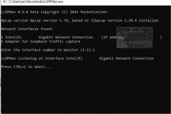 Official Download Mirror for LLDP-CDPMon
