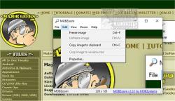 Official Download Mirror for MOBZoom