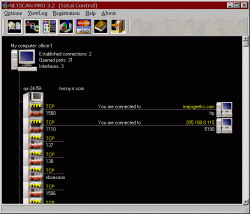 Official Download Mirror for Netscan Pro