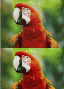 Official Download Mirror for Photo Magic AI