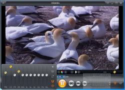 Official Download Mirror for Zoom Player MAX