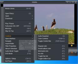 Official Download Mirror for Zoom Player MAX