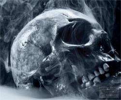 Official Download Mirror for Skull Theme