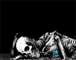 Official Download Mirror for Skeleton Theme