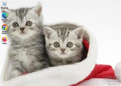 Official Download Mirror for Christmas Cute Animals Theme