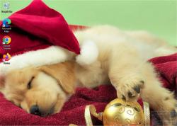 Official Download Mirror for Christmas Cute Animals Theme