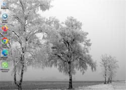 Official Download Mirror for White Winter Tree Theme