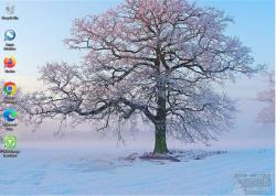 Official Download Mirror for White Winter Tree Theme