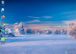 Official Download Mirror for White Winter Tree Theme