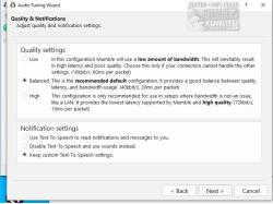Official Download Mirror for Mumble Portable