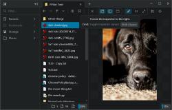 Official Download Mirror for FilePilot