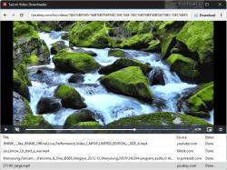 Official Download Mirror for Secret Video Downloader