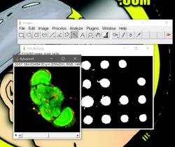 Official Download Mirror for ImageJ