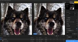 Official Download Mirror for Topaz Gigapixel AI