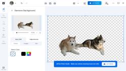 Official Download Mirror for inPixio Photo Studio