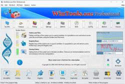 Official Download Mirror for WinTools.one 