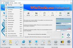 Official Download Mirror for WinTools.one 