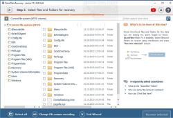 Official Download Mirror for Raise Data Recovery